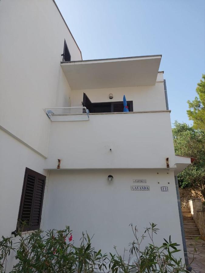 Apartmani Lavanda باغ المظهر الخارجي الصورة